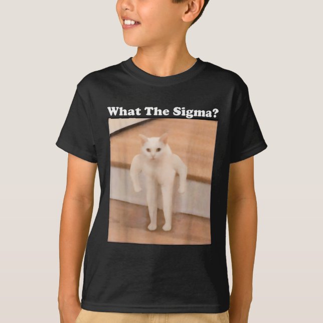 T-shirt Ce Sigma Mème Chat Mème Internet Mèmes Drôle Mème (Devant)