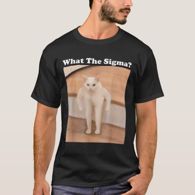 T-shirt Ce Sigma Mème Chat Mème Internet Mèmes Drôle Mème (Devant)