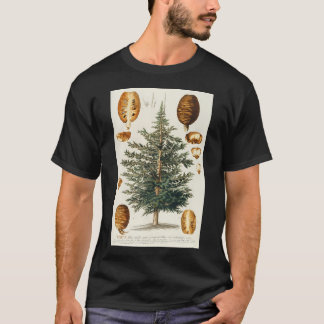 T-shirt Cèdre Et Dissectation Du Cône - Cedrus - Botani
