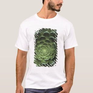 T-shirt Centre de cactus