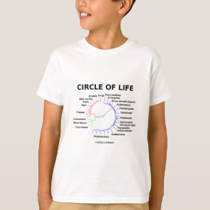 T-shirt Cercle de la vie (arbre phylogénétique circulaire)