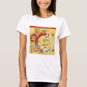 T-shirt Cercle de la vie T