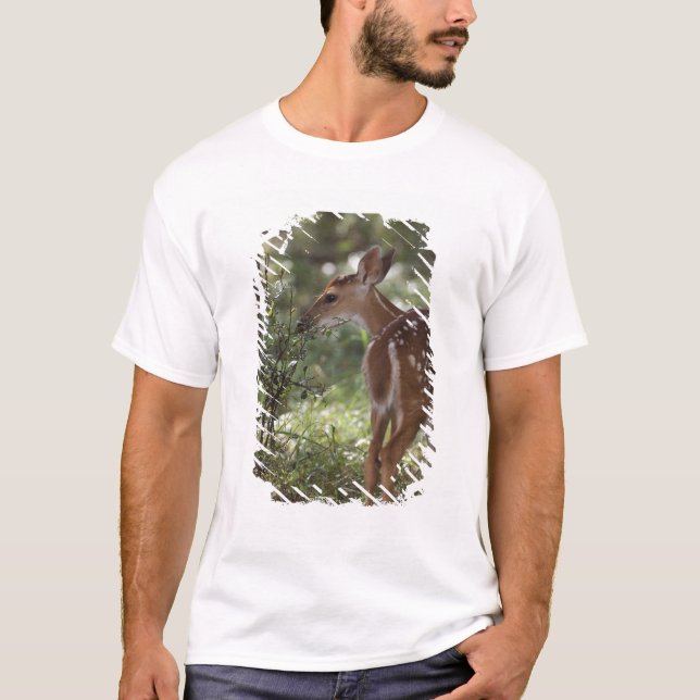 T-shirt Cerf de Virginie, Odocoileus virginianus (Devant)