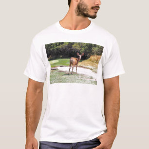 T-shirt cerf regardant l'appareil photo nature