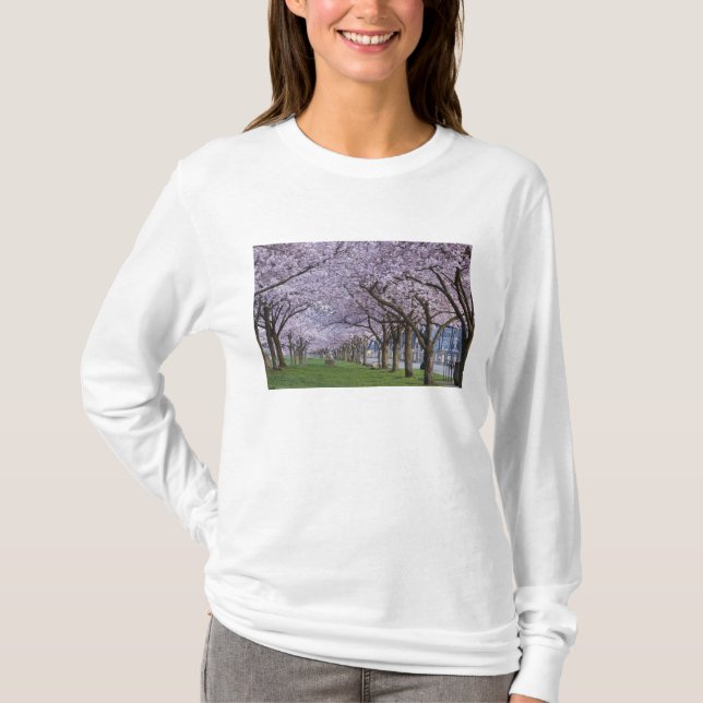 T-shirt Cerisiers en fleurs le long de la rivière Willamet (Devant)