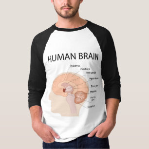 T-shirt cerveau humain