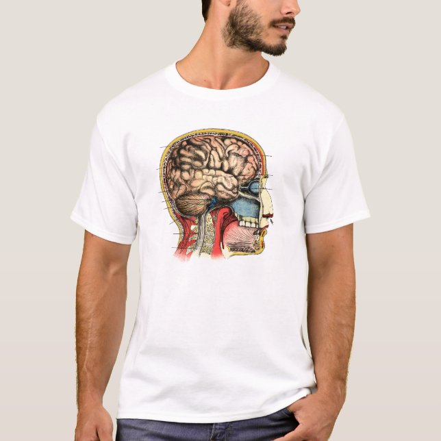 T-shirt Cerveau humain Crâne Cervical Spine (Devant)