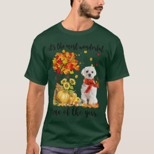 T-shirt C'Est Le Plus Merveilleux Citrouille Maltais D'Aut