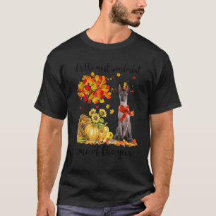 T-shirt C'est le temps d'automne le plus merveilleux Xoloi