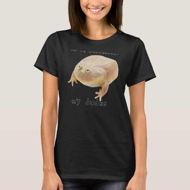 T-shirt C'est mercredi My Dudes Classic Funny Frog Meme (Devant)