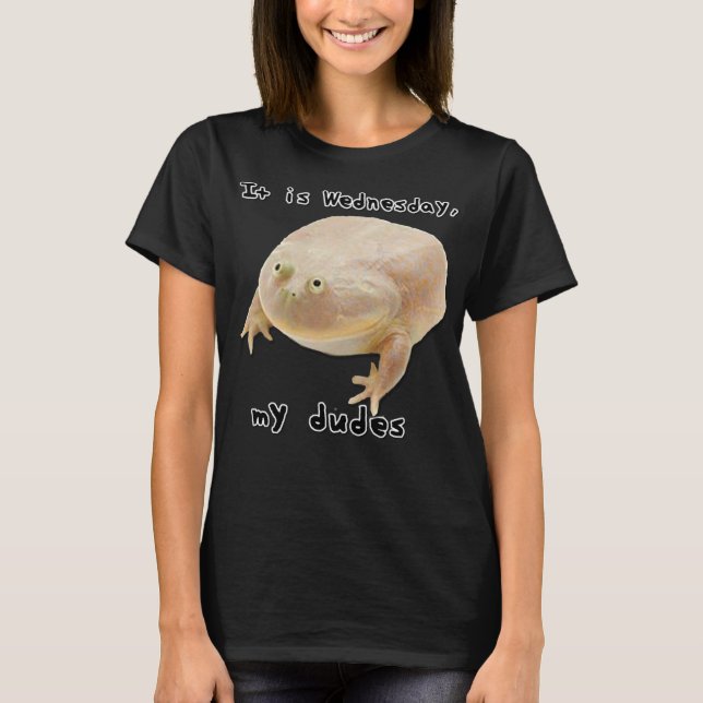 T-shirt C'est mercredi My Dudes Funny Classic Frog Meme O (Devant)