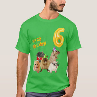 T-shirt C'est mon Anniversaire 6ème mignon Hamster