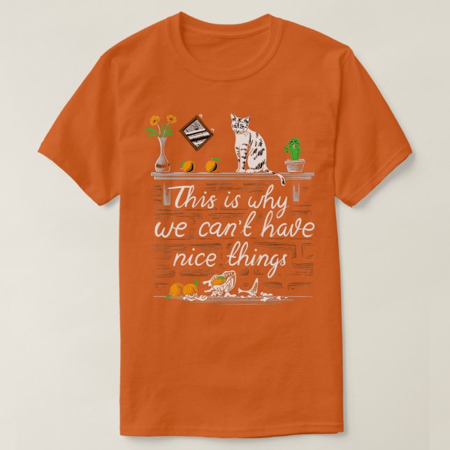 T-shirt C'est pourquoi nous ne pouvons pas avoir de bonnes (Design devant)