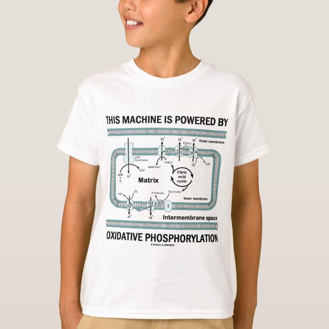 T-shirt Cette Machine Alimentée Par La Phosphylation Oxida (Devant)