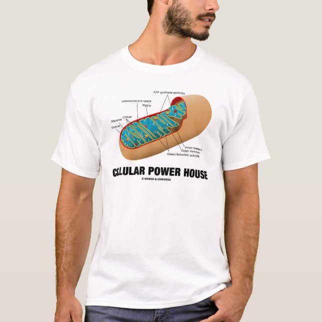 T-shirt Chambre cellulaire de puissance (mitochondrie) (Devant)