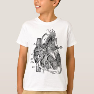 T-shirt Chambre de droite de l'Anatomie du Coeur Humain Te