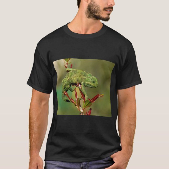 T-shirt Chameleon Lizard Nature (Devant)