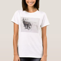 Chamois courant