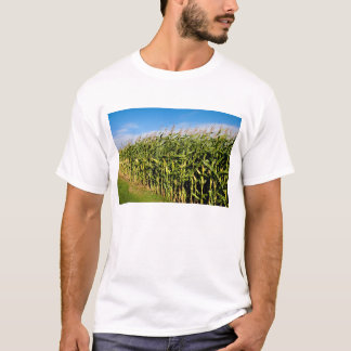 T-shirt champ de maïs et ciel