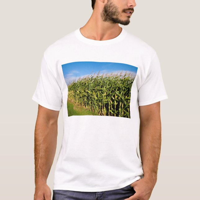 T-shirt champ de maïs et ciel (Devant)