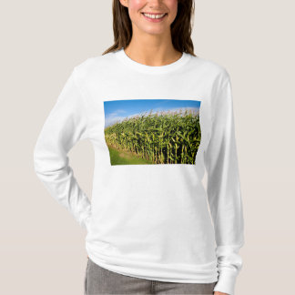 T-shirt champ de maïs et ciel