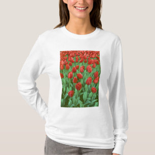 T-shirt Champ de tulipes en fleurs au printemps.