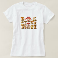 Champignons vintages de rouge de variété de