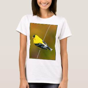 T-shirt Chardonneret d'Amérique - Photographie originale