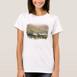 T-shirt Charge de la brigade de cavalerie légère, le 25