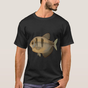 T-shirt Chat