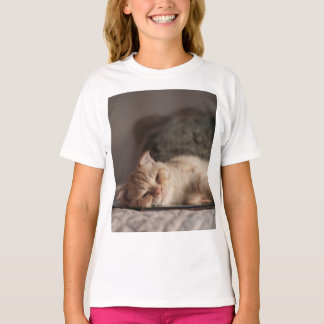 T-shirt Chat, Animal De Compagnie, Kitten