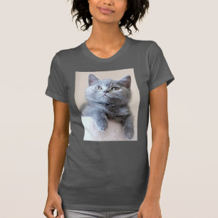 T-shirt Chat britannique gris de Shorthair