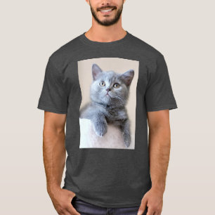 T-shirt Chat britannique gris de Shorthair