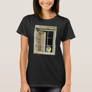 T-shirt Chat Dans La Fenêtre Beau Sur Un