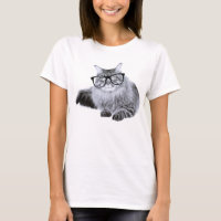 Chat dans les lunettes