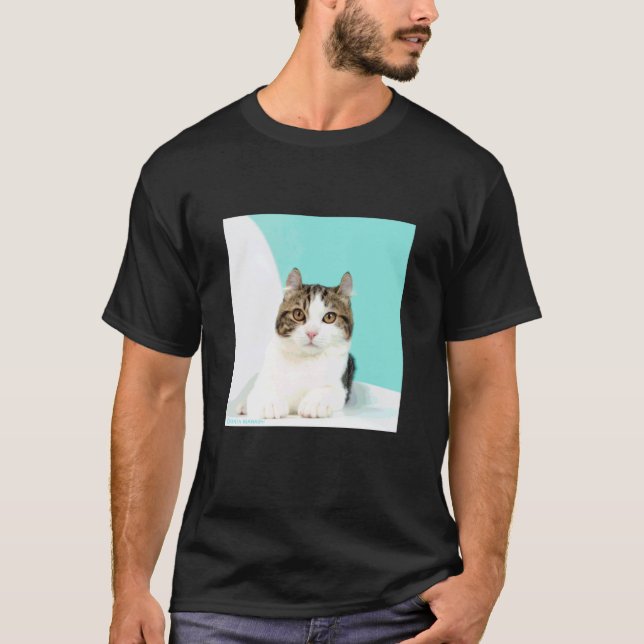 T-shirt chat de l'american curl_001 (Devant)
