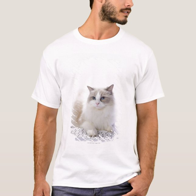T-shirt Chat de Ragdoll sur le clavier d'ordinateur (Devant)