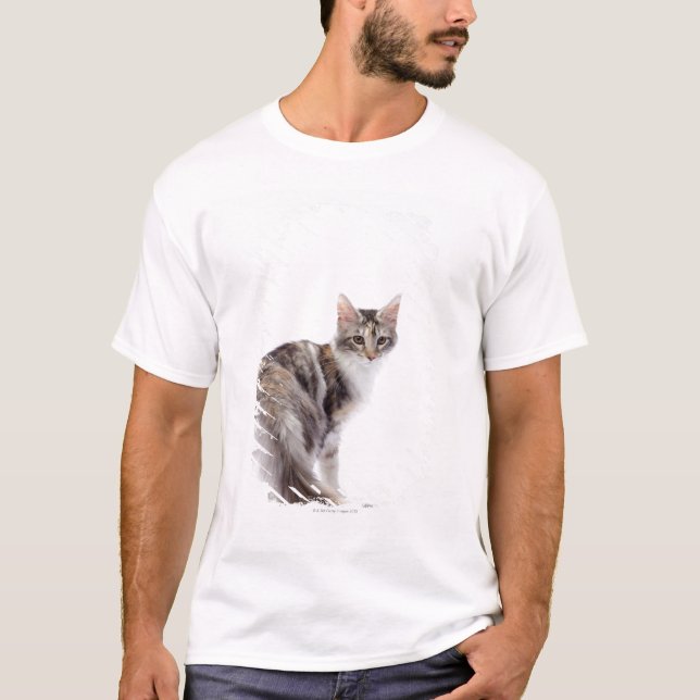 T-shirt Chat de ragondin du Maine (Devant)