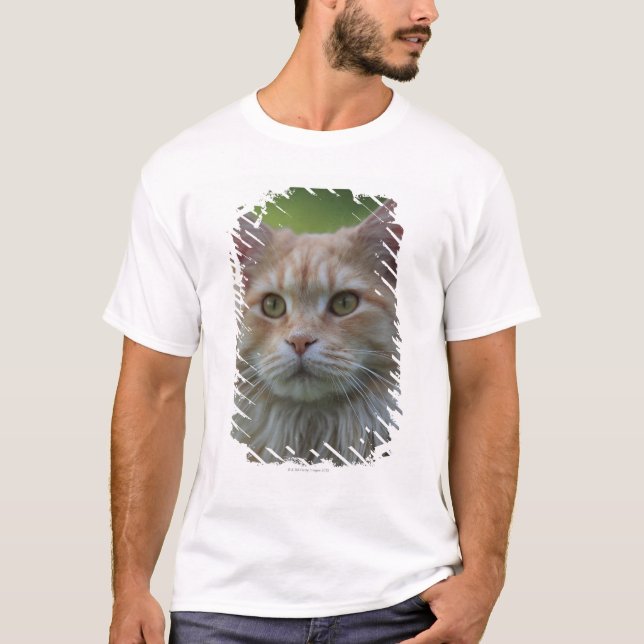 T-shirt Chat de ragondin principal (Devant)