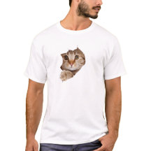 CHAT MIGNON