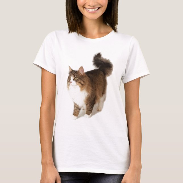 T-shirt Chat norvégien de forêt (Devant)