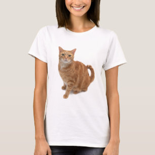 T-shirt Chat orange debout