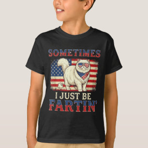 T-shirt Chat qui péte drôle drapeau américain rétro 4 juil