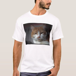 T-shirt Chat tigré orange et blanc de "souci"