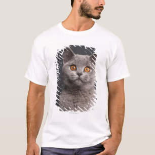 T-shirt Chaton britannique de Shorthair (3 mois)