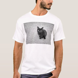 T-shirt Chaton noir