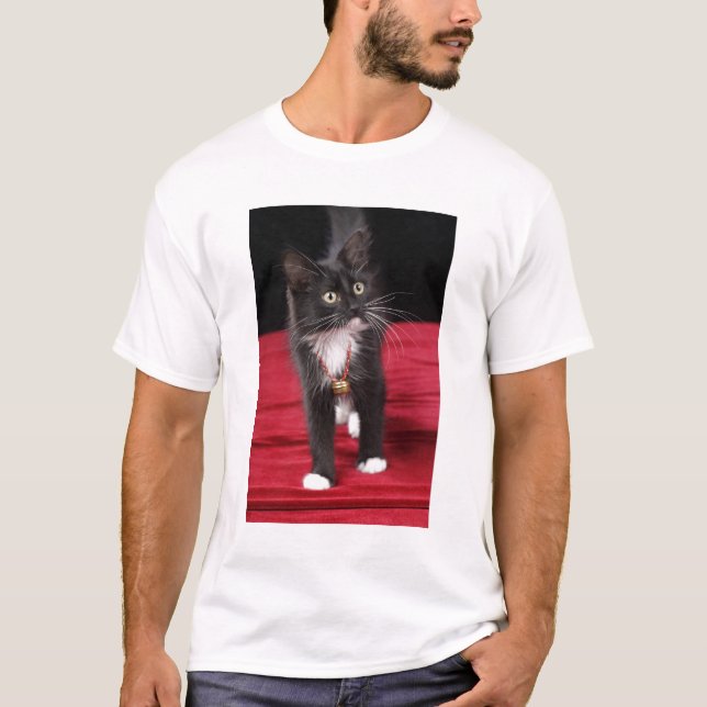 T-shirt Chaton noir et blanc à poils courts, 2 mois 1/2 (Devant)