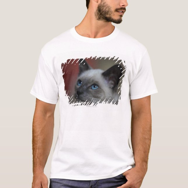 T-shirt Chaton siamois (Devant)
