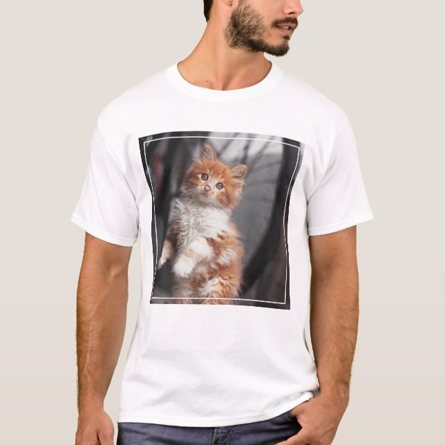 T-shirt Chaton tigré orange (Devant)