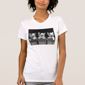 T-shirt Chatons